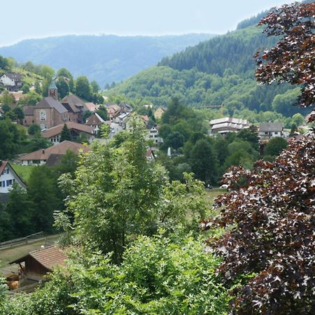 Schnurrenhof Lägenhet Seebach Exteriör bild