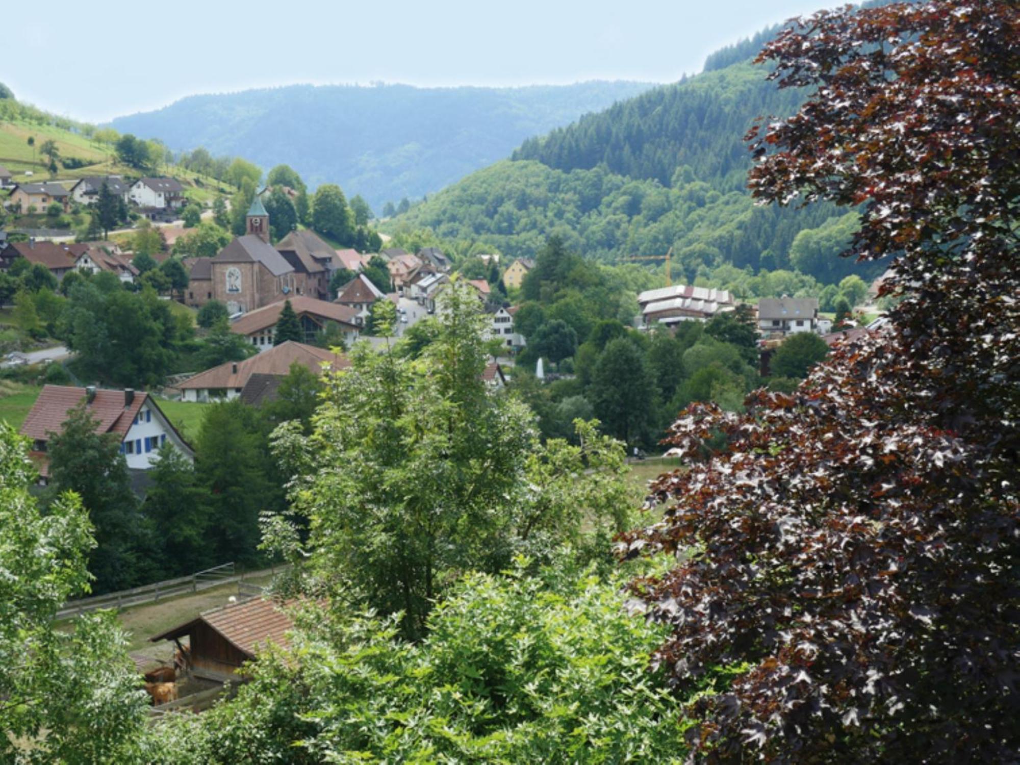 Schnurrenhof Lägenhet Seebach Exteriör bild