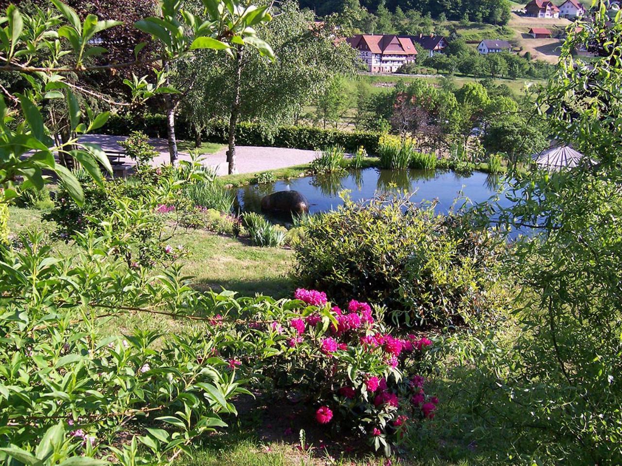 Schnurrenhof Lägenhet Seebach Exteriör bild