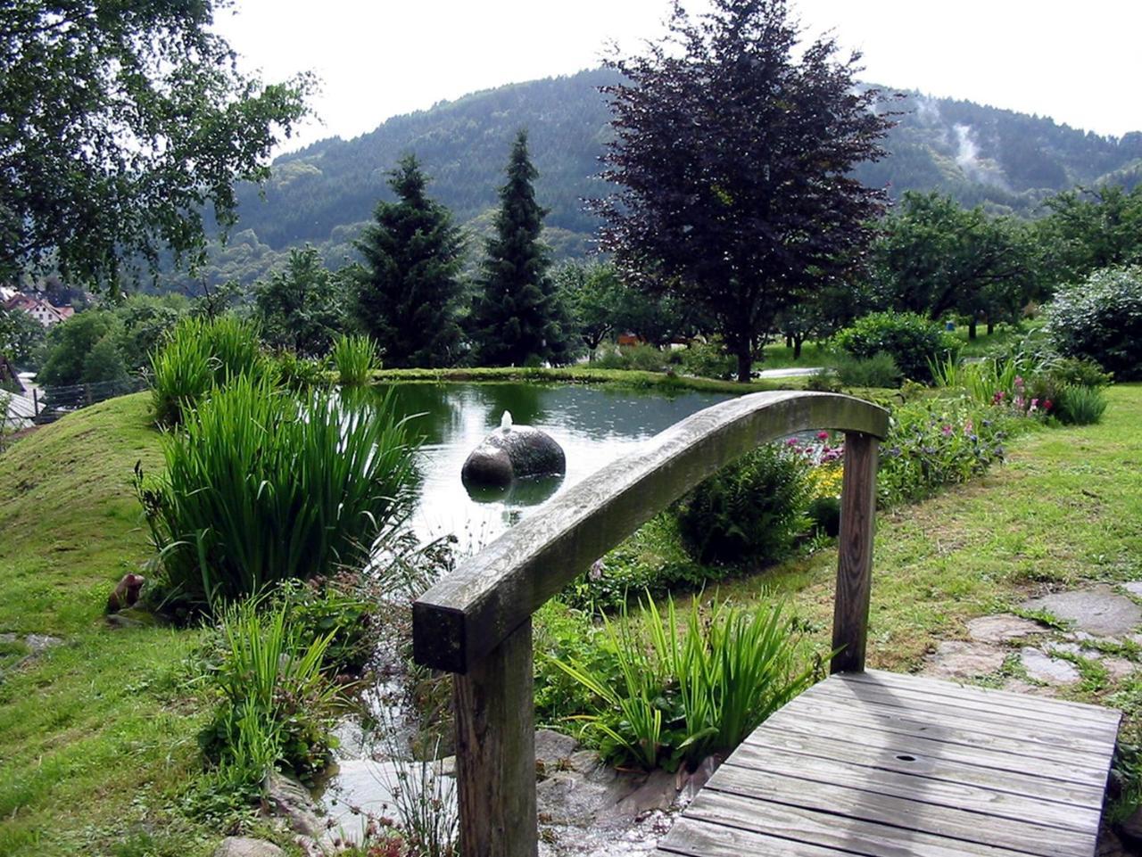 Schnurrenhof Lägenhet Seebach Exteriör bild