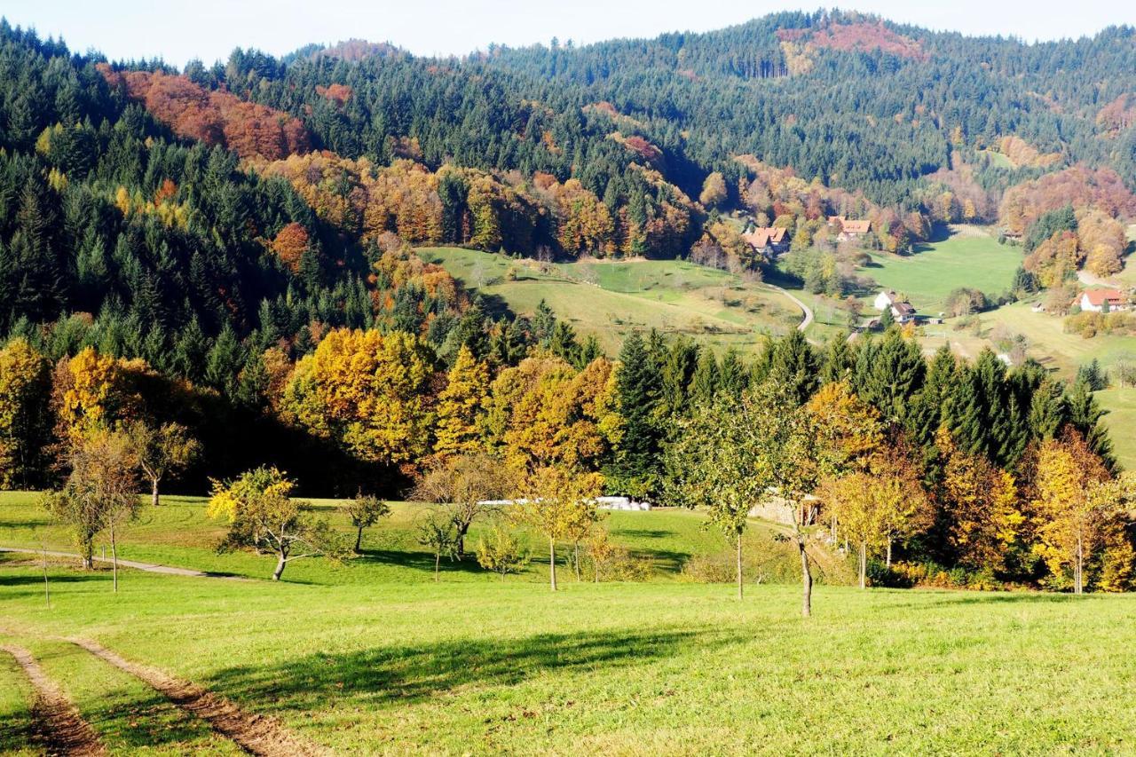 Schnurrenhof Lägenhet Seebach Exteriör bild