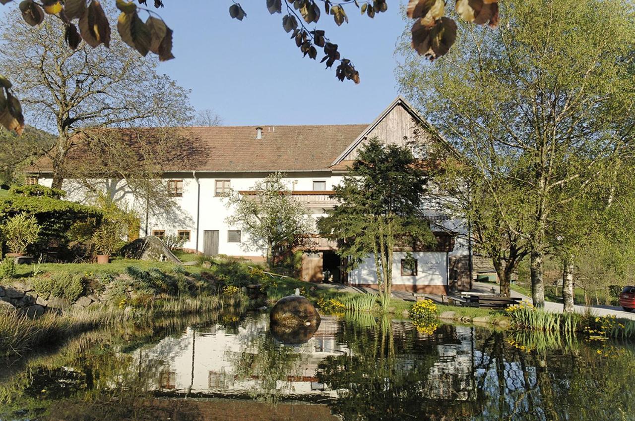 Schnurrenhof Lägenhet Seebach Exteriör bild