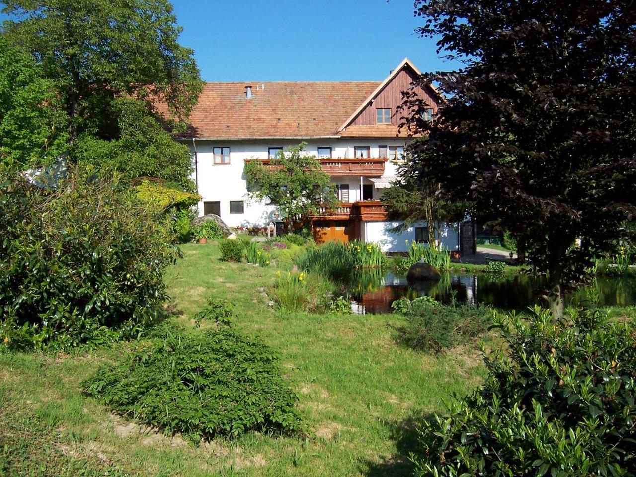 Schnurrenhof Lägenhet Seebach Exteriör bild