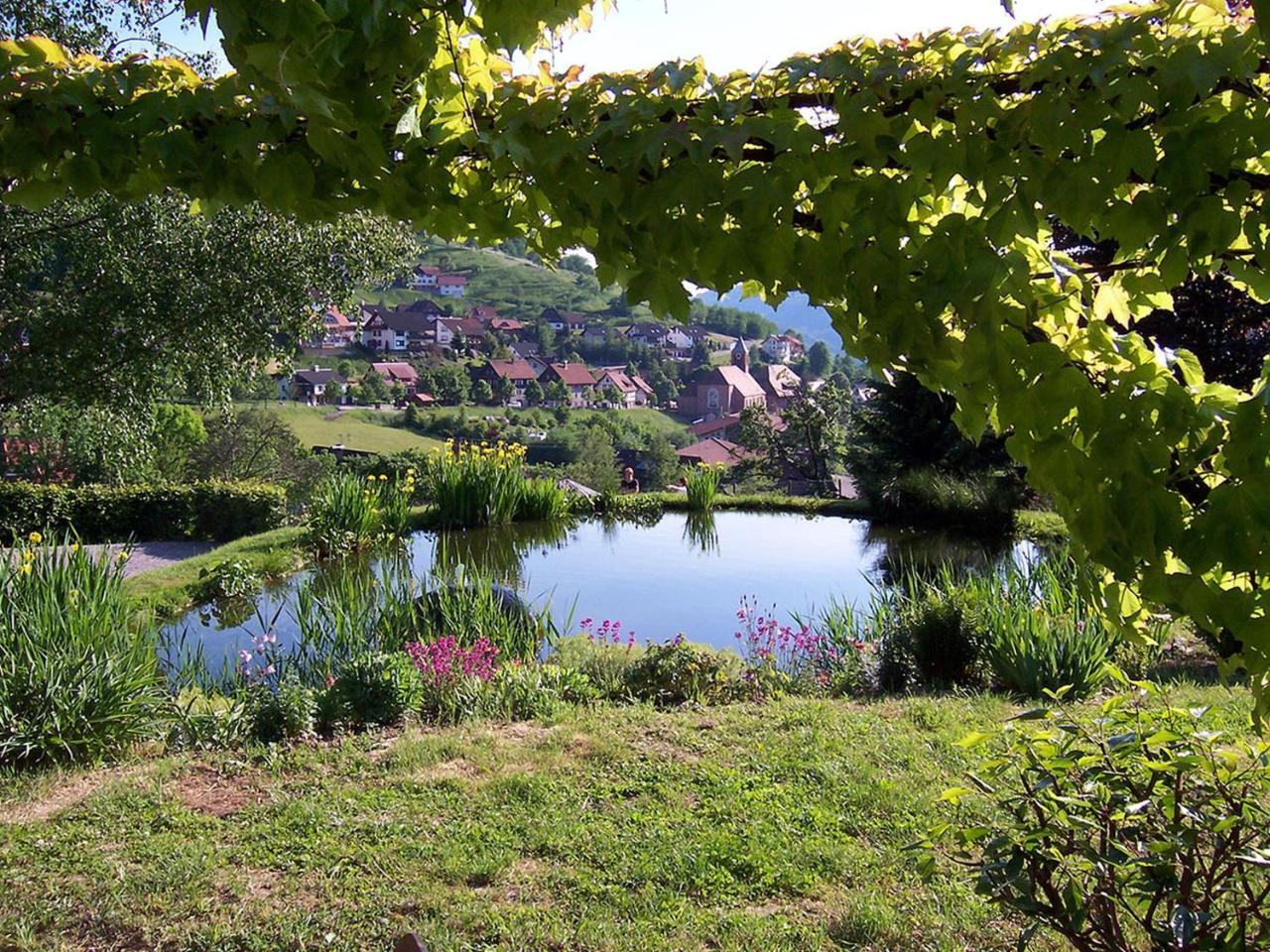 Schnurrenhof Lägenhet Seebach Exteriör bild