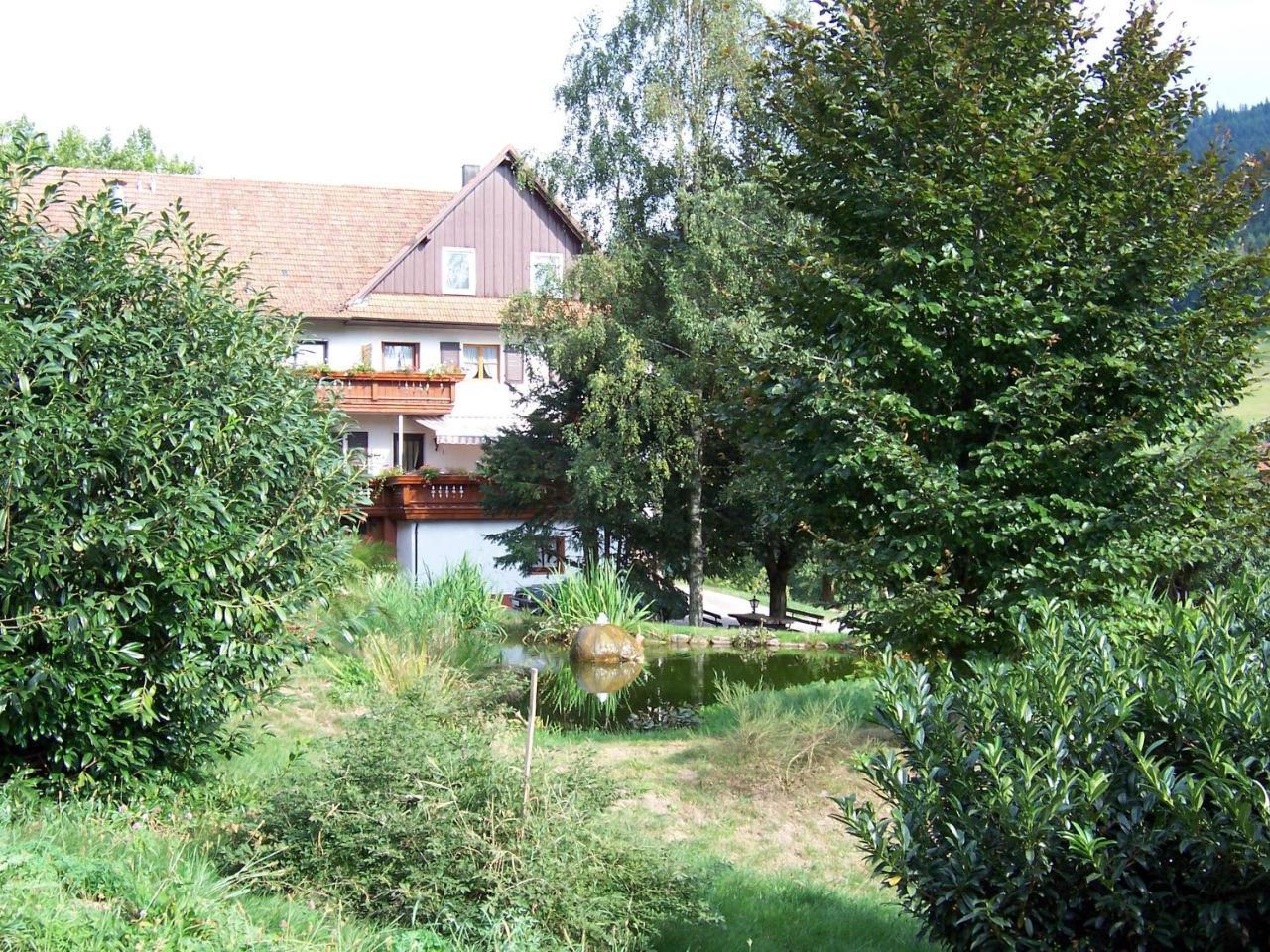 Schnurrenhof Lägenhet Seebach Exteriör bild