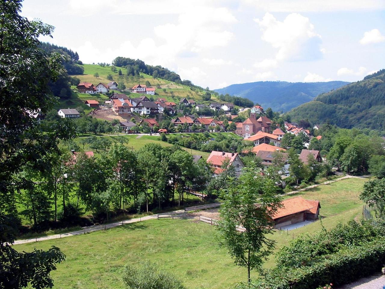 Schnurrenhof Lägenhet Seebach Exteriör bild