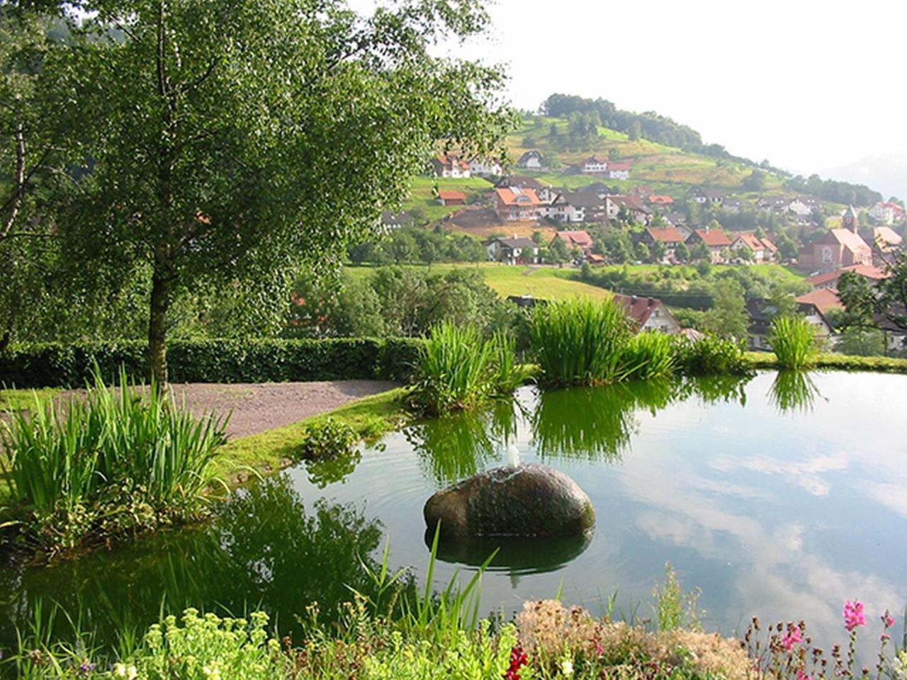 Schnurrenhof Lägenhet Seebach Exteriör bild