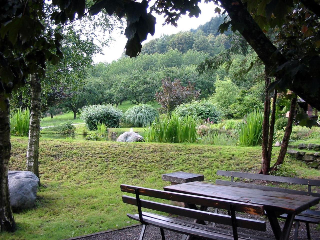 Schnurrenhof Lägenhet Seebach Exteriör bild